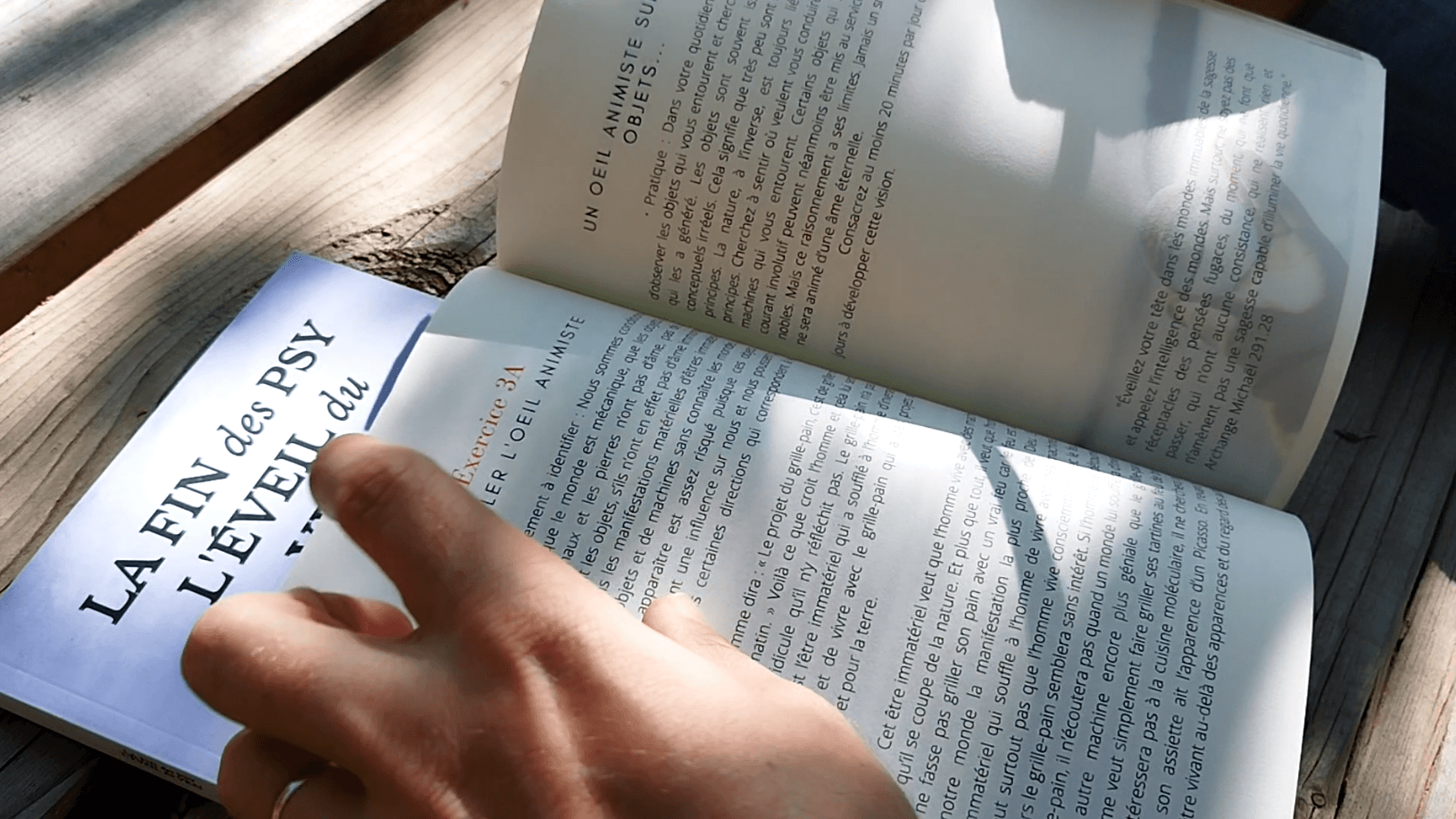 livre la fin des psy