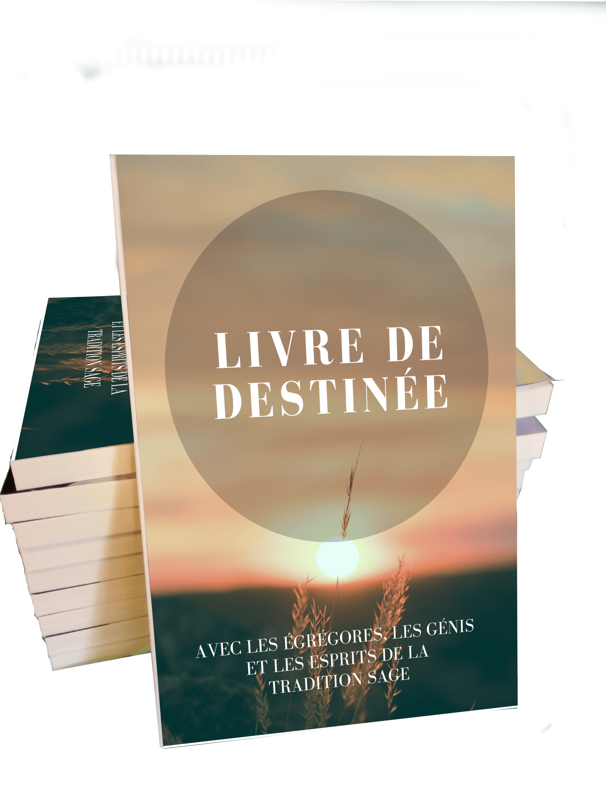 livre de destinée
